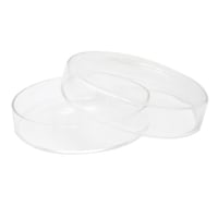 �L�����h���J�b�v�@�V���[���K���X�@�J�����}