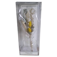 �h���C�t�����[�@�h�������@�s�����@�C�G���[