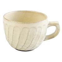 �}�O�J�b�v�@�Q�T�O�����@�˂���@���ԁ@�A�C�{���[