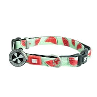 ��ց@���^���@�w�r�@�}�b�N�X�����[���[�@�X�C�J