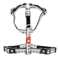 �n�[�l�X�@���^���@�w�r�@�}�b�N�X�����[���[�@�s�A�m