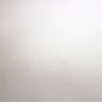 �����C�N�V�[�g�@�t���[�X�ǎ��@�A�C�{���[