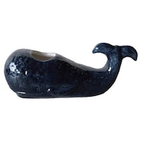 �ԕr�@��֑}���@������@�k�@�t�����[�x�[�X�@����