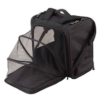 �y�b�g�L�����[�@�y�ʁ@�y�b�g�����b�N�@��