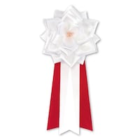 �L�́@�o���@��@�R���^�����~�U