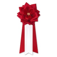 �L�́@�o���@���@�R���^���ԁ~�P�Q