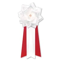 �L�́@�o���@���@�R���^�����~�P�Q