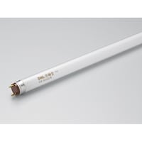 �G�[�X���C�������v�@�e�k�q�S�Q�s�U�d�w�|�m�E�d�g