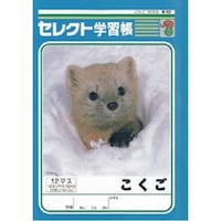 �a�T�Z���N�g�w�K���@�������P�Q�}�X�~�P�O