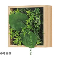 �A�ڃO���[���@�Q�T�p�@�Q�T�O�~�P�S�O�~�Q�T�O�����@�f�q�P�O�V�X�@�f�q�P�O�V�X�@�P��