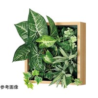 �A�ڃO���[���@�Q�T�p�@�R�O�O�~�P�T�O�~�R�O�O�����@�f�q�P�P�V�P�@�f�q�P�P�V�P�@�P��