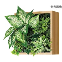 �A�ڃO���[���@�Q�T�p�@�R�O�O�~�Q�O�O�~�R�O�O�����@�f�q�P�P�V�R�@�f�q�P�P�V�R�@�P��