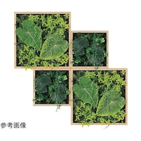 �A�ڃO���[���@�S�A�@�V�T�O�~�P�S�O�~�V�T�O�����@�f�l�P�T�U�S�@�f�l�P�T�U�S�@�P��