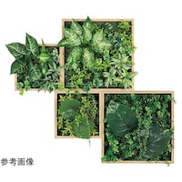 �A�ڃO���[���@�S�A�@�W�U�R�~�Q�O�O�~�W�O�O�����@�f�l�P�V�T�S�@�f�l�P�V�T�S�@�P��