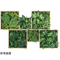 �A�ڃO���[���@�U�A�@�P�Q�S�R�~�Q�O�O�~�W�O�T�����@�f�l�P�V�T�U�@�f�l�P�V�T�U�@�P��