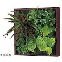 �A�ڃO���[���@�R�W�p�@�S�O�O�~�Q�O�O�~�S�O�O�����@�f�q�P�O�W�Q�@�f�q�P�O�W�Q�@�P��