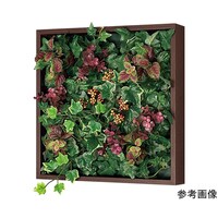 �A�ڃO���[���@�R�W�p�@�R�V�T�~�P�R�O�~�R�V�T�����@�f�q�P�P�V�U�@�f�q�P�P�V�U�@�P��