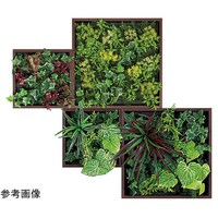 �A�ڃO���[���@�S�A�@�W�R�W�~�Q�Q�O�~�V�V�T�����@�f�l�P�V�T�W�@�f�l�P�V�T�W�@�P��