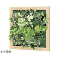 �E�H�[���O���[���@�R�T�O�~�U�V�~�R�T�O�����@�f�q�R�R�S�Q�@�f�q�R�R�S�Q�@�P��