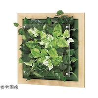 �E�H�[���O���[���@�R�T�O�~�U�V�~�R�T�O�����@�f�q�R�R�S�S�@�f�q�R�R�S�S�@�P��