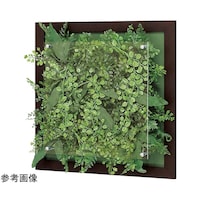 �E�H�[���O���[���@�S�O�O�~�U�V�~�S�O�O�����@�f�q�R�R�S�T�@�f�q�R�R�S�T�@�P��