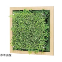 �E�H�[���O���[���@�S�O�O�~�U�V�~�S�O�O�����@�f�q�R�R�S�U�@�f�q�R�R�S�U�@�P��