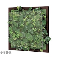 �E�H�[���O���[���@�T�O�O�~�U�V�~�T�O�O�����@�f�q�R�R�S�V�@�f�q�R�R�S�V�@�P��