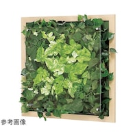 �E�H�[���O���[���@�T�O�O�~�U�V�~�T�O�O�����@�f�q�R�R�T�O�@�f�q�R�R�T�O�@�P��