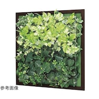 �E�H�[���O���[���@�U�T�O�~�U�V�~�U�T�O�����@�f�q�R�R�T�R�@�f�q�R�R�T�R�@�P��