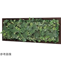 �E�H�[���O���[���@�X�T�O�~�U�V�~�R�T�O�����@�f�q�R�R�T�T�@�f�q�R�R�T�T�@�P��