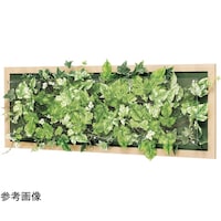 �E�H�[���O���[���@�X�T�O�~�U�V�~�R�T�O�����@�f�q�R�R�T�U�@�f�q�R�R�T�U�@�P��