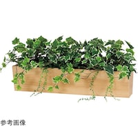 ���|�b�g�@�U�T�O�~�S�T�O�~�R�O�O�����@�f�q�S�Q�X�X�@�f�q�S�Q�X�X�@�P��