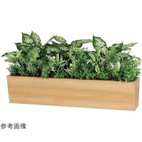 ���|�b�g�@�U�T�O�~�R�T�O�~�R�V�O�����@�f�q�S�R�O�W�@�f�q�S�R�O�W�@�P��