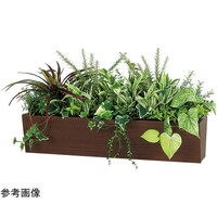 ���|�b�g�@�V�O�O�~�S�T�O�~�R�V�O�����@�f�q�S�Q�X�T�@�f�q�S�Q�X�T�@�P��