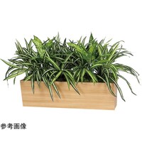 ���|�b�g�@�W�T�O�~�T�O�O�~�T�O�O�����@�f�q�S�R�Q�O�@�f�q�S�R�Q�O�@�P��