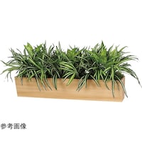 ���|�b�g�@�P�P�T�O�~�T�O�O�~�T�O�O�����@�f�q�S�R�Q�Q�@�f�q�S�R�Q�Q�@�P��