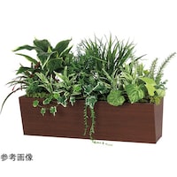 ���|�b�g�@�W�O�O�~�S�T�O�~�S�T�O�����@�f�q�S�R�P�Q�@�f�q�S�R�P�Q�@�P��