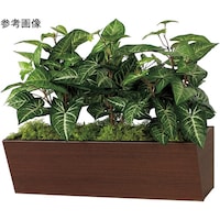 ���|�b�g�@�W�O�O�~�S�O�O�~�T�O�O�����@�f�q�S�R�Q�S�@�f�q�S�R�Q�S�@�P��