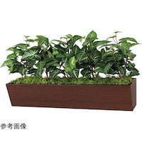 ���|�b�g�@�P�P�O�O�~�S�O�O�~�T�O�O�����@�f�q�S�R�Q�U�@�f�q�S�R�Q�U�@�P��