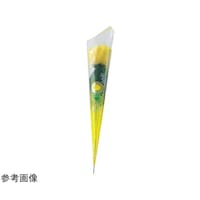 �o���@���b�v���C�G���[�@�����Q�T�����@�Q�O�O�{�@�T�T�|�R�W�|�T�|�T�@�T�T�|�R�W�|�T�|�T�@�P�Z�b�g