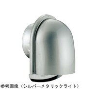 �t�^�t�[�h�t���C���@�����J���^�C�v�@�N���A�[�@�a�|�P�O�O�t�u�@�a�|�P�O�O�t�u�@�P��