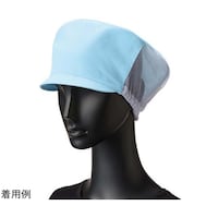 �m�L���X�P�b�g�n�X�q