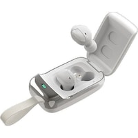 �u���[�g�D�[�X�t�����C�����X�C���z���@�s�a�r�R�V�p�v�@�s�a�r�R�V�p�v�@�P�Z�b�g