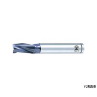 �u�R�[�g�w�o�l���t�B���O�@�����O�V�����N