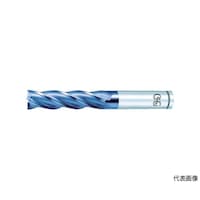 �n�C�X�X�N�G�A�G���h�~���@�u�R�[�g�w�o�l