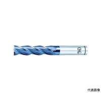 �n�C�X�X�N�G�A�G���h�~���@�u�R�[�g�w�o�l