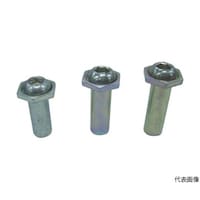 �p�b�N����r�s���b�N�i�P�O�{���j�X�e�B�[���@�P�O�|�P�R�@�b�m�r�g�P�O�P�R�o�@�b�m�r�g�P�O�P�R�o�@�P�p�b�N