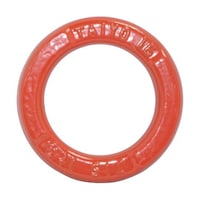 ���̓����O�@�P�U�i�R�O�Q�S�T�R�W�j�@�t�q