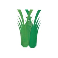 �V�W�U�U�W�O�O�@�o�����@�C�V�^�P��