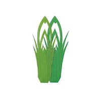 �V�W�U�V�O�O�O�@�o�����@���^�P��